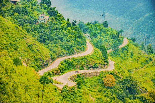 Winding road through lush green forest on the way to Chopta, Uttarakhand, India.